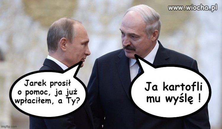 Prawdziwych przyjaciół