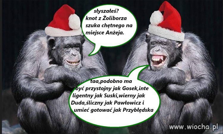 Knot szuka chętnego