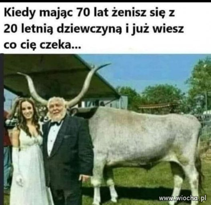 Patrz