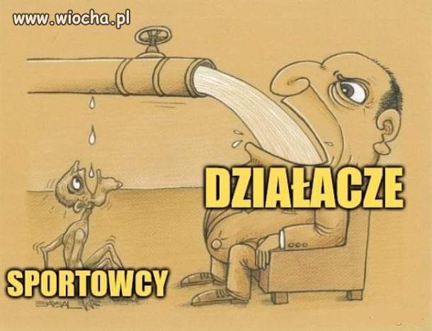 Tuczne świnie odciągnąć od koryta
