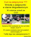 Cud 
