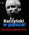 No i bardzo dobrze !