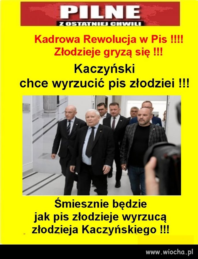 No dobrze, ale jak wyrzuci złodziei to kto tam ...