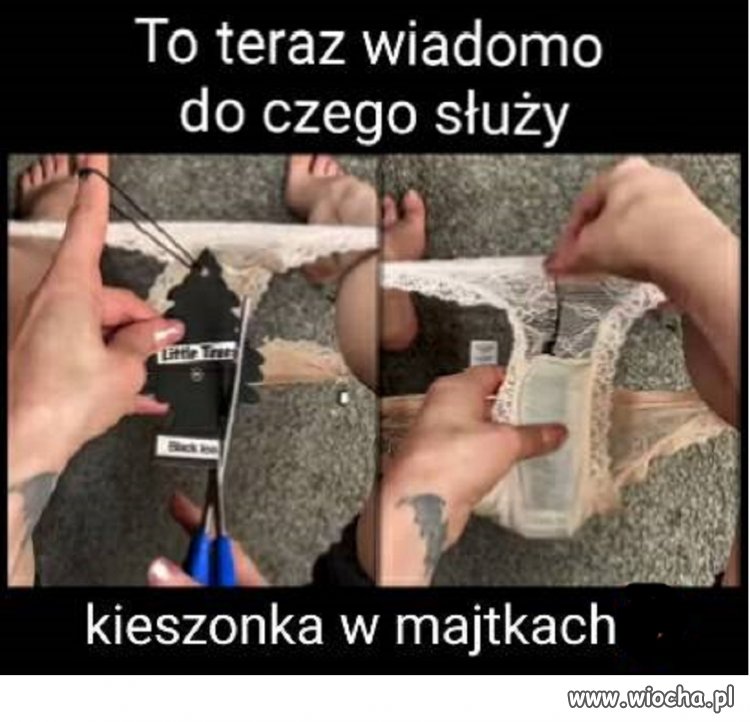 ...i psiocha nie capi