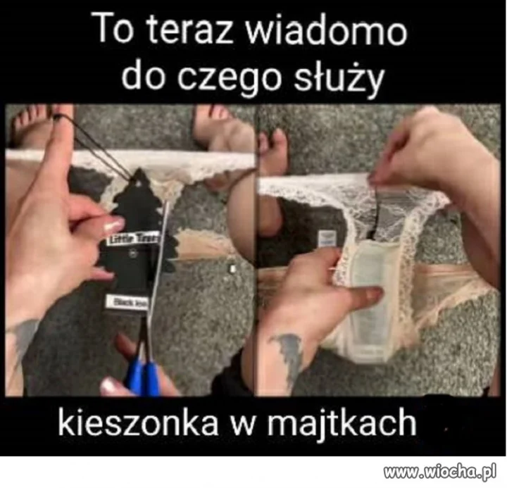 ...i psiocha nie capi