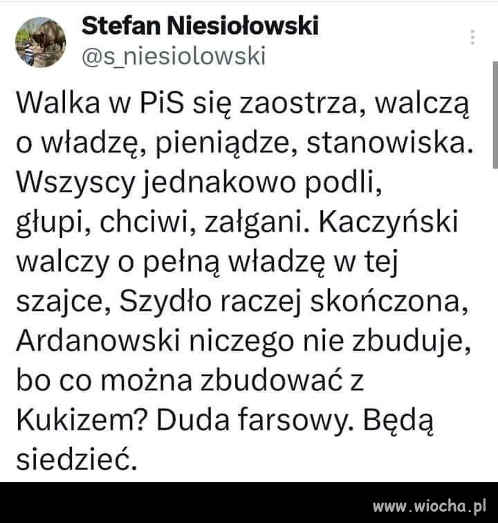 No i bardzo, k..wa dobrze !