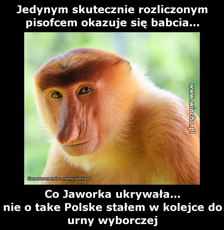 Jedynym skutecznie rozliczonym pisofcem okazuje