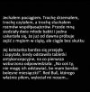 Zapewne zwolenniczki PIS-u