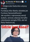 Pisowskie złodziejstwo