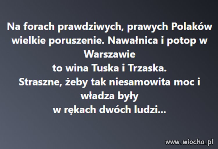 Na głupotę PIS-owców nie ma lekarstwa