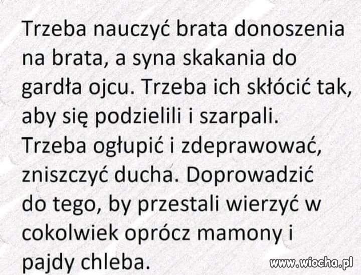 Trafny cytat pasujacy