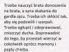 Trafny cytat pasujacy