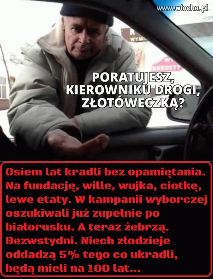 Pisowskie żebractwo czas zacząć