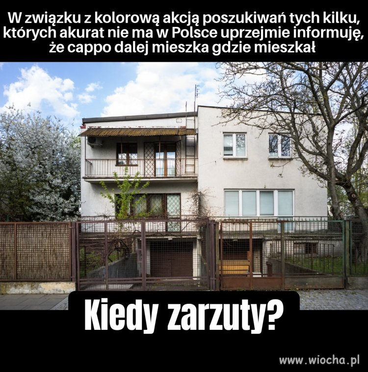 Chyba nie chodzi o gonienie króliczka?