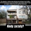 Chyba nie chodzi o gonienie króliczka?
