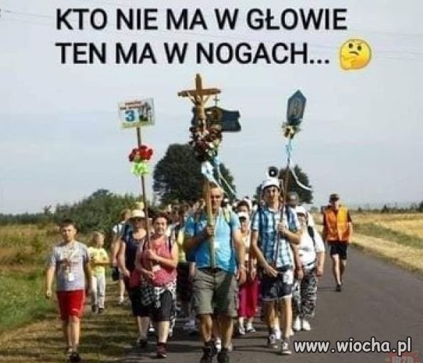 Długie,kolorowe, głośne i sra po krzakach?
