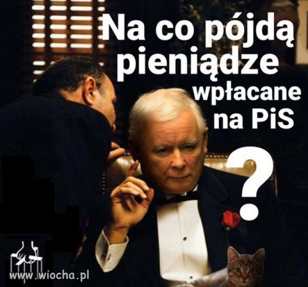 Na ochronę zaszczelnika? Na Srebrną? Na złodziei PiSu?