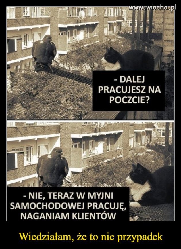 Nie tylko ludzie praca sie bogaca...