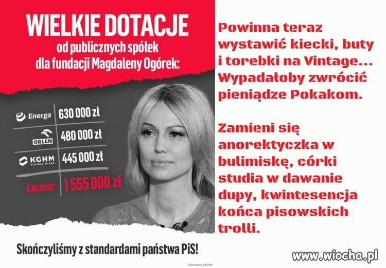 Pisowska wywłoka