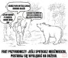 Jeśli spotykasz niedźwiedzia...