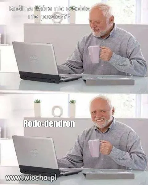 Rodos