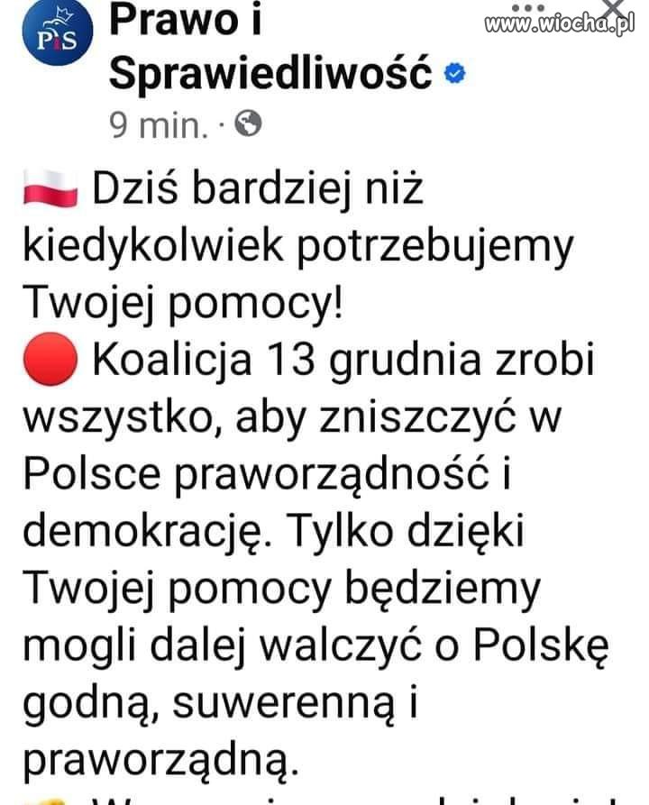 Wstydu nie mają 
