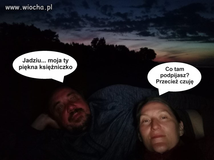 Przygody pana Michała