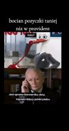 Czy pis popadnie
