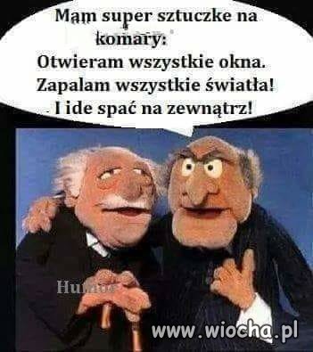 Żartowniś