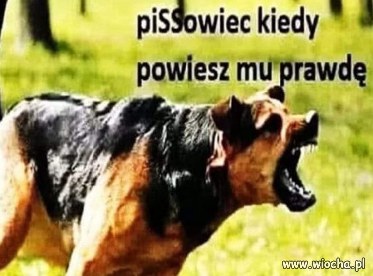 Jak bym tu widział