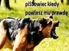 Jak bym tu widział