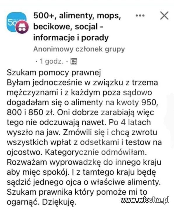 Amatorka.   
