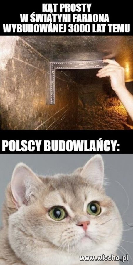 Pan Wiesio w szoku.
