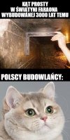 Pan Wiesio w szoku.