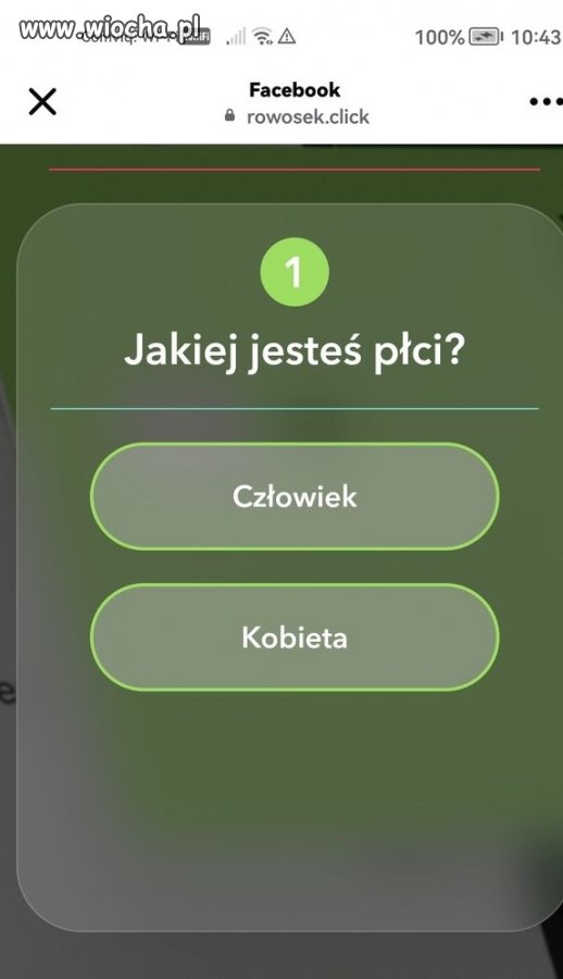 Pytanie.