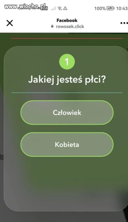 Pytanie.