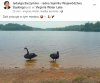 Co ważnego dla mieszkańców Śląska i Zagłębia
