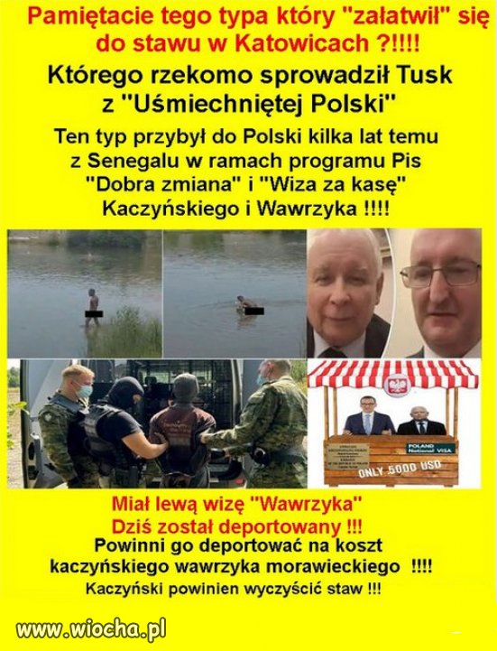 Program PiS "wiza za kasę"  🤣🤣🤣i taki rezultat!