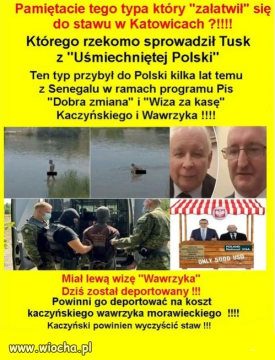 Program PiS "wiza za kasę"  🤣🤣🤣i taki rezultat!
