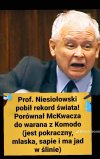 Doskonałe