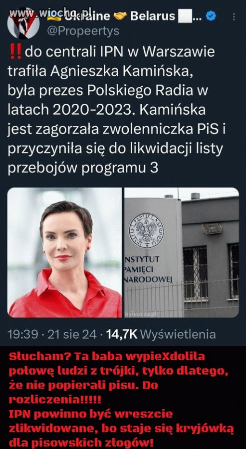 IPN to pisowski azyl