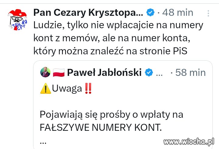 Elektorat