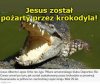 Sensacja!