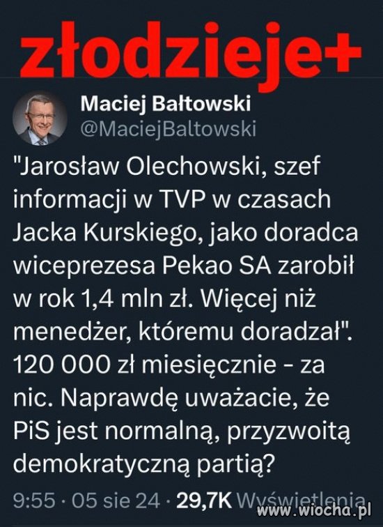 Pisowskie ścierwa