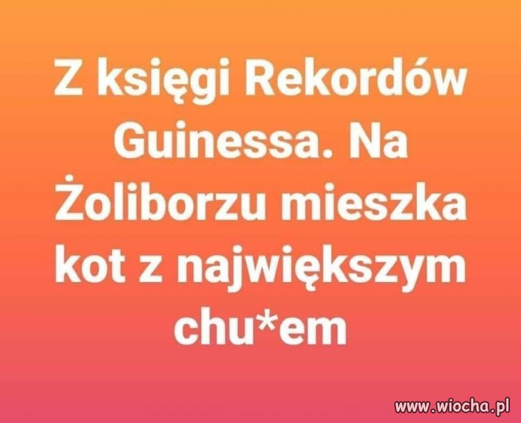 Z ostatniej chwili ...
