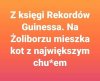 Z ostatniej chwili ...
