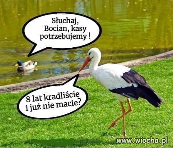 Na czasie