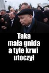 Zagadka pana Niejadka