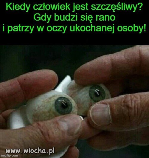 Wielu filozofów próbowało