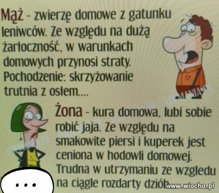 Mąż i żona